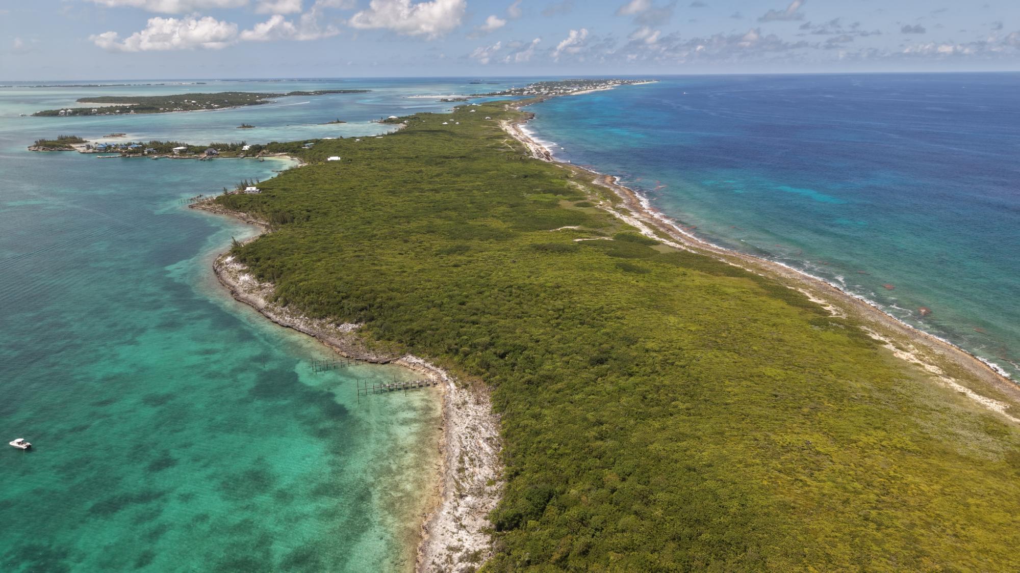 Lot 3 Soap Point