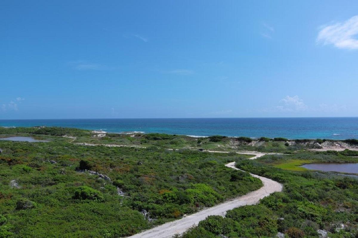 OCEANVIEW LOT 1, MILLERS