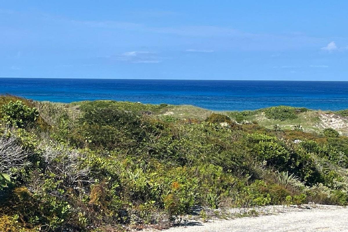 OCEANVIEW LOT 1, MILLERS
