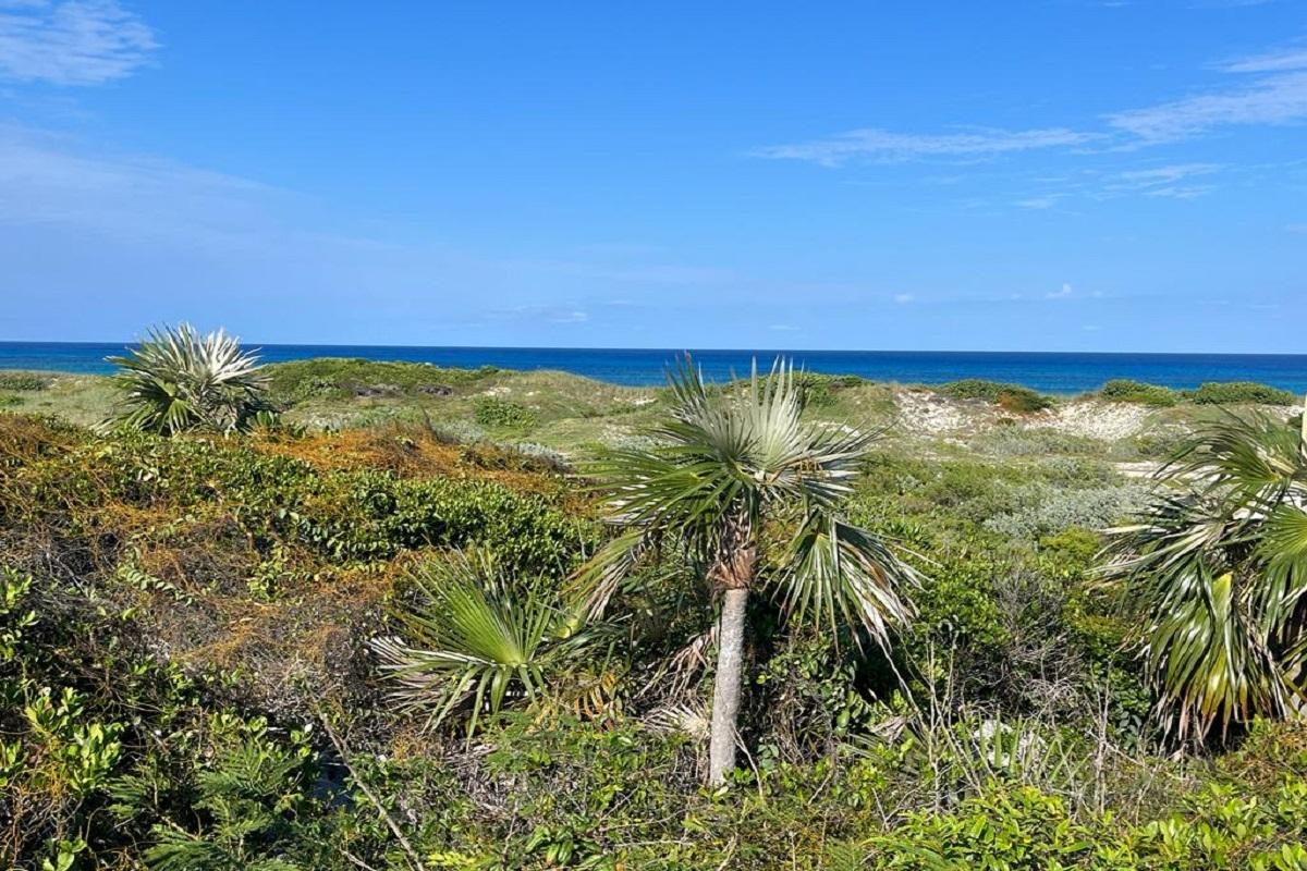 OCEANVIEW LOT 1, MILLERS