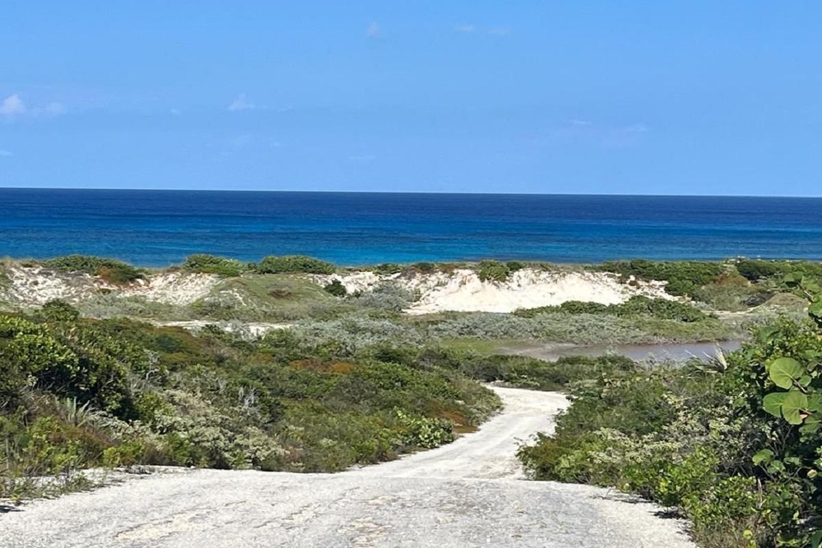 OCEANVIEW LOT 1, MILLERS