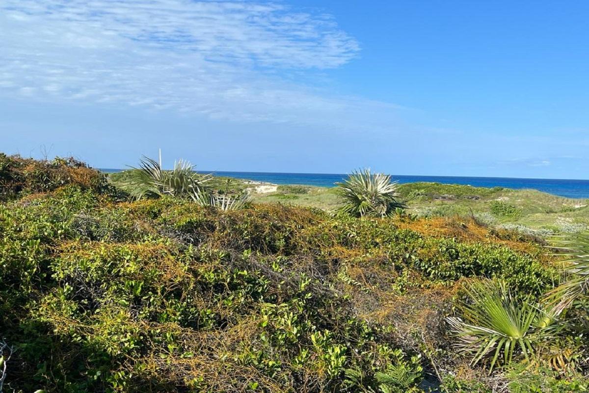 OCEANVIEW LOT 1, MILLERS