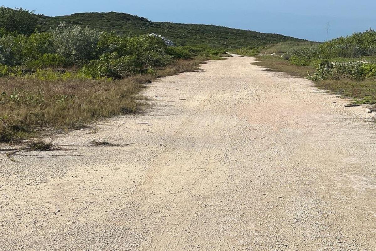 OCEANVIEW LOT 1, MILLERS