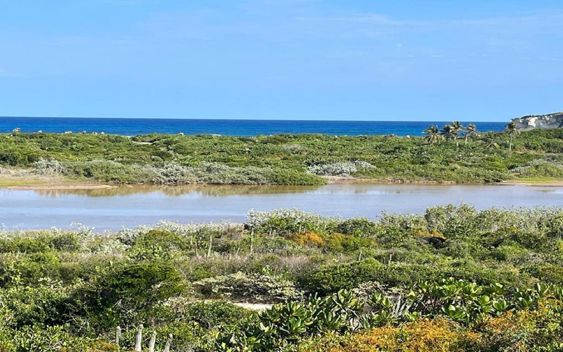 OCEANVIEW LOT 1, MILLERS