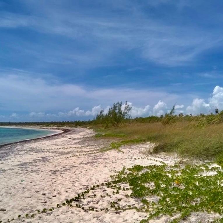 220 ACRES BEACHFRONT LONG