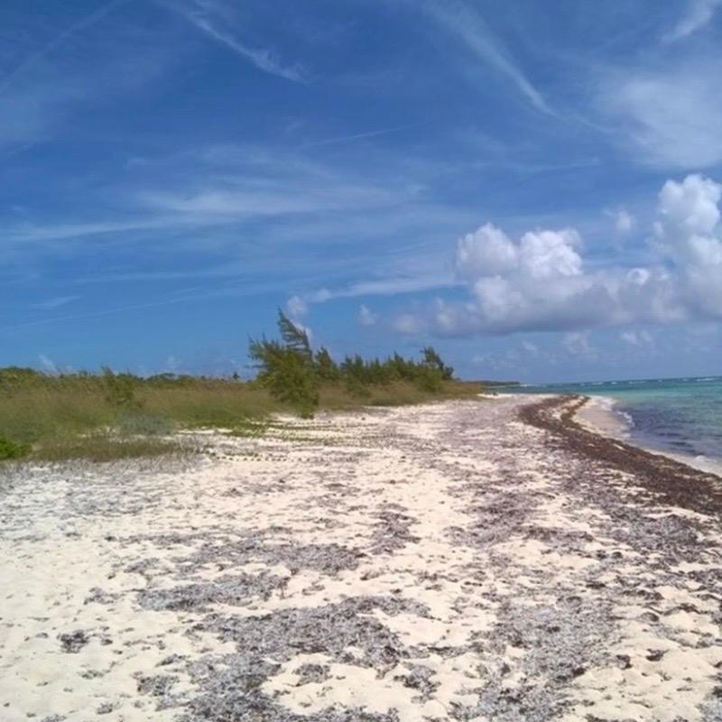 220 ACRES BEACHFRONT LONG