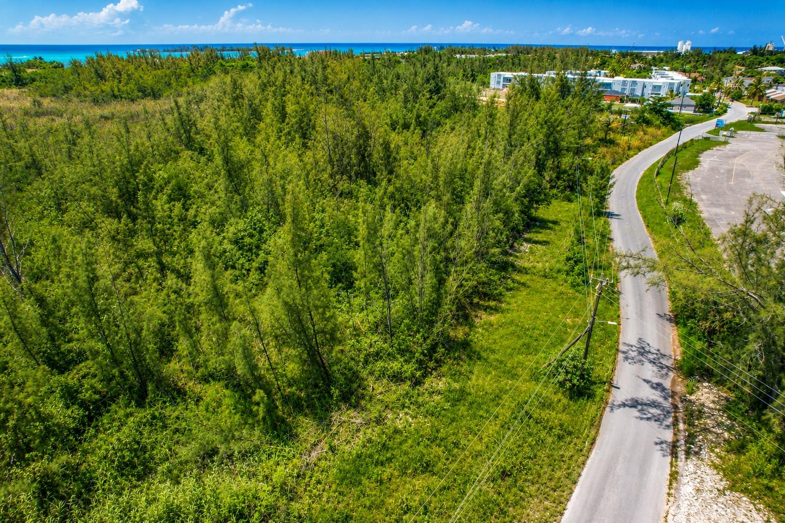 FERGUSON ROAD