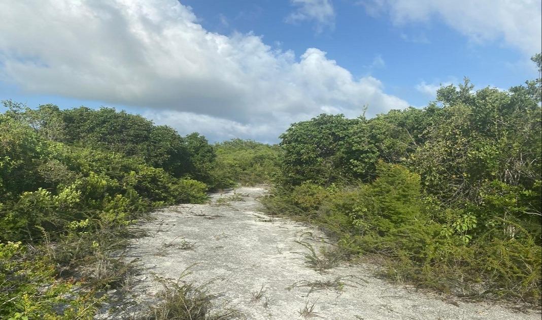 LOT 9, COLUMBUS LANDING 4