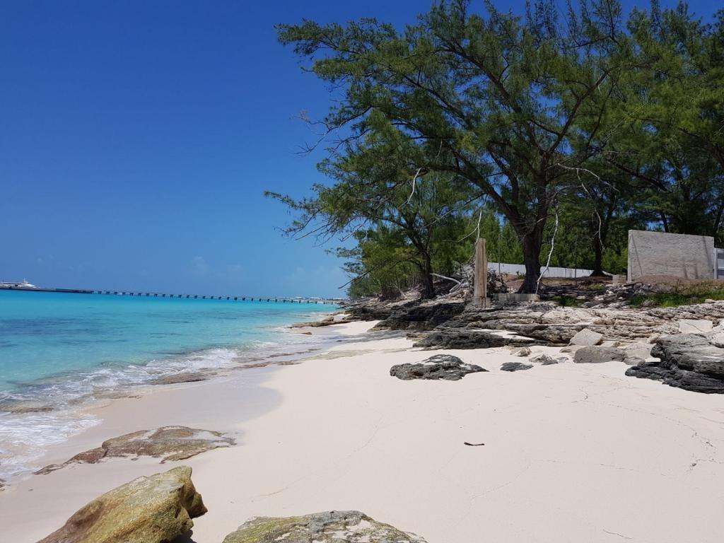 Bimini Triplex