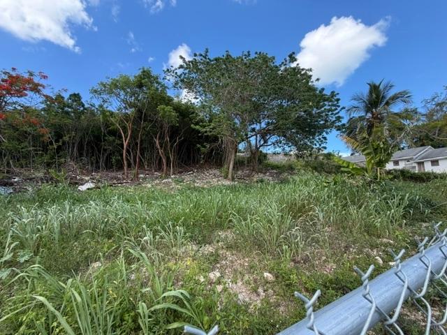 LOT 118, MONASTERY PARK