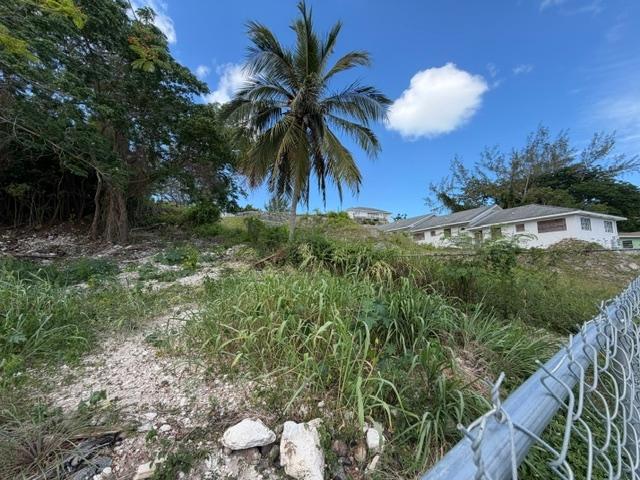 LOT 118, MONASTERY PARK