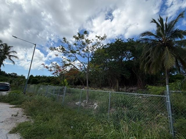 LOT 118, MONASTERY PARK