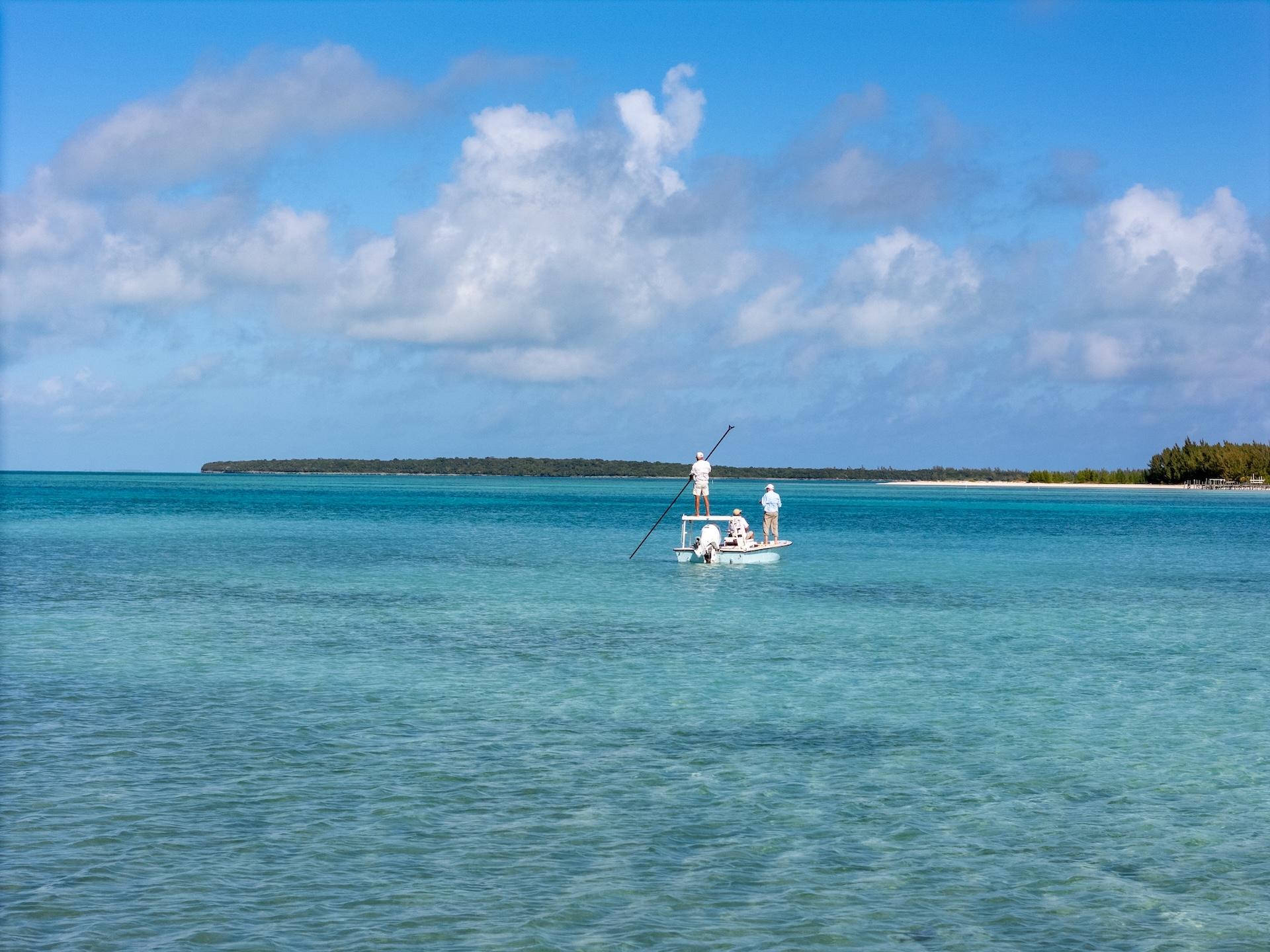 Island Gypsy