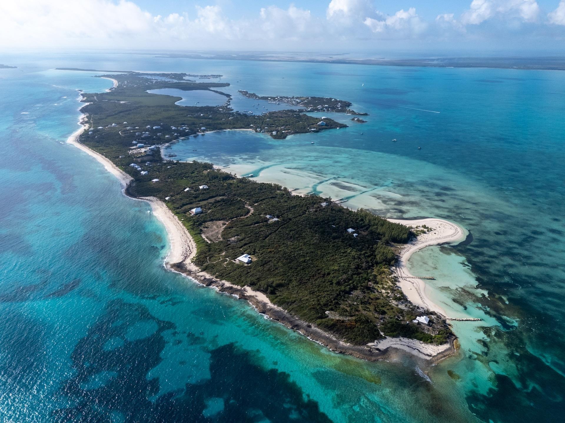 Island Gypsy