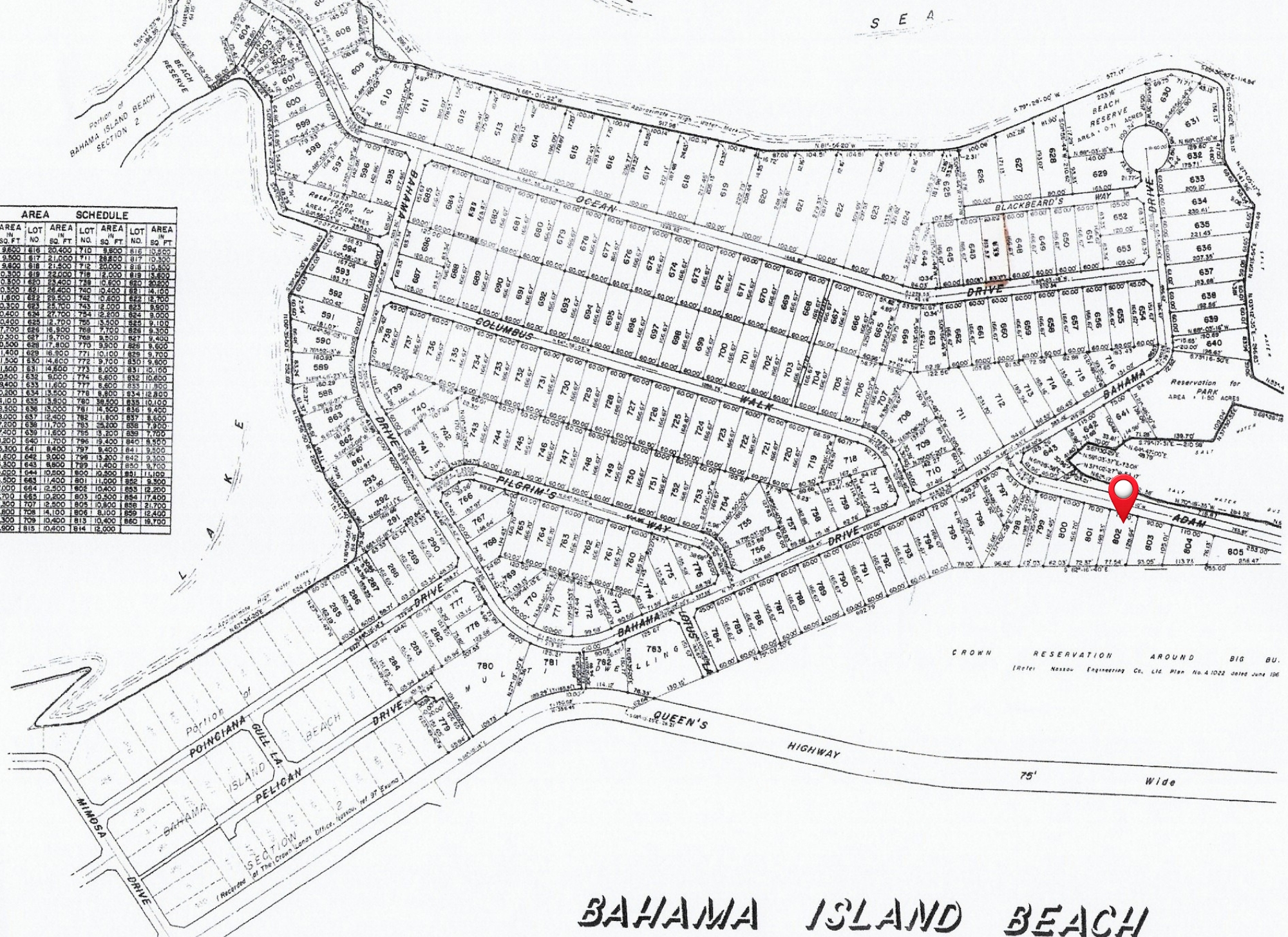 BAHAMA ISLAND BEACH 3