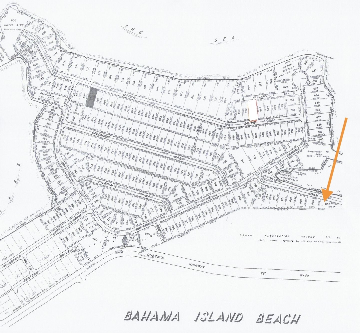 BAHAMA ISLAND BEACH 3