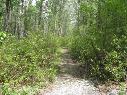 Listing Photo 8