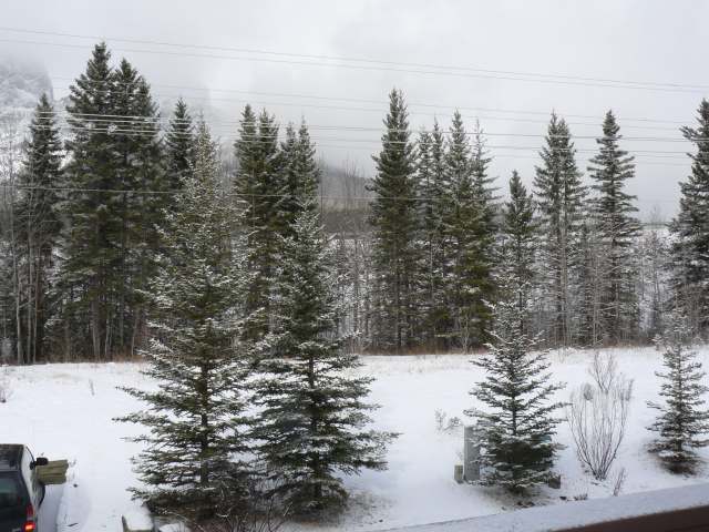 Listing Photo 6