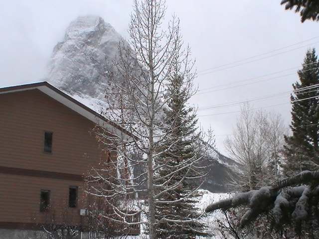 Listing Photo 12