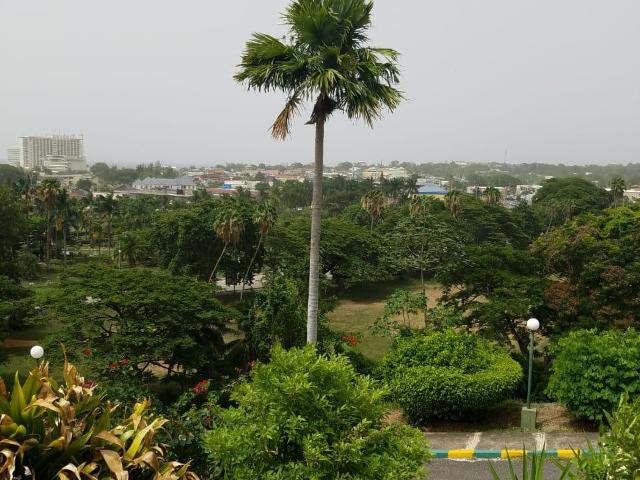 ST. ANN 33