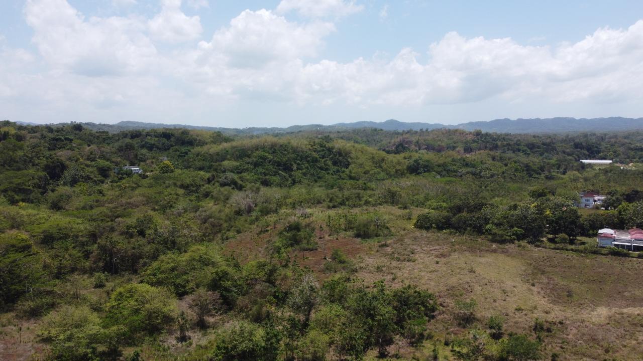 Homes for sale in Hanover, Jamaica