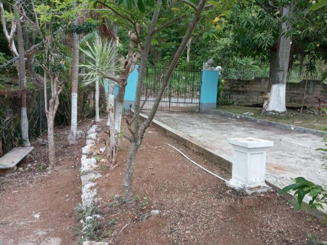 10 SHAW PARK, ST. ANN Lot