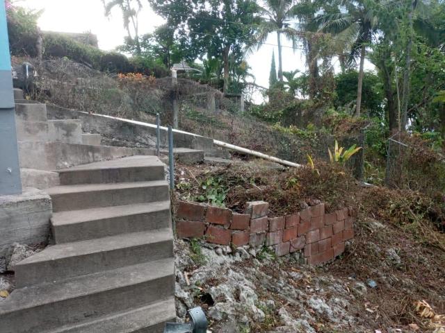 10 SHAW PARK, ST. ANN Lot