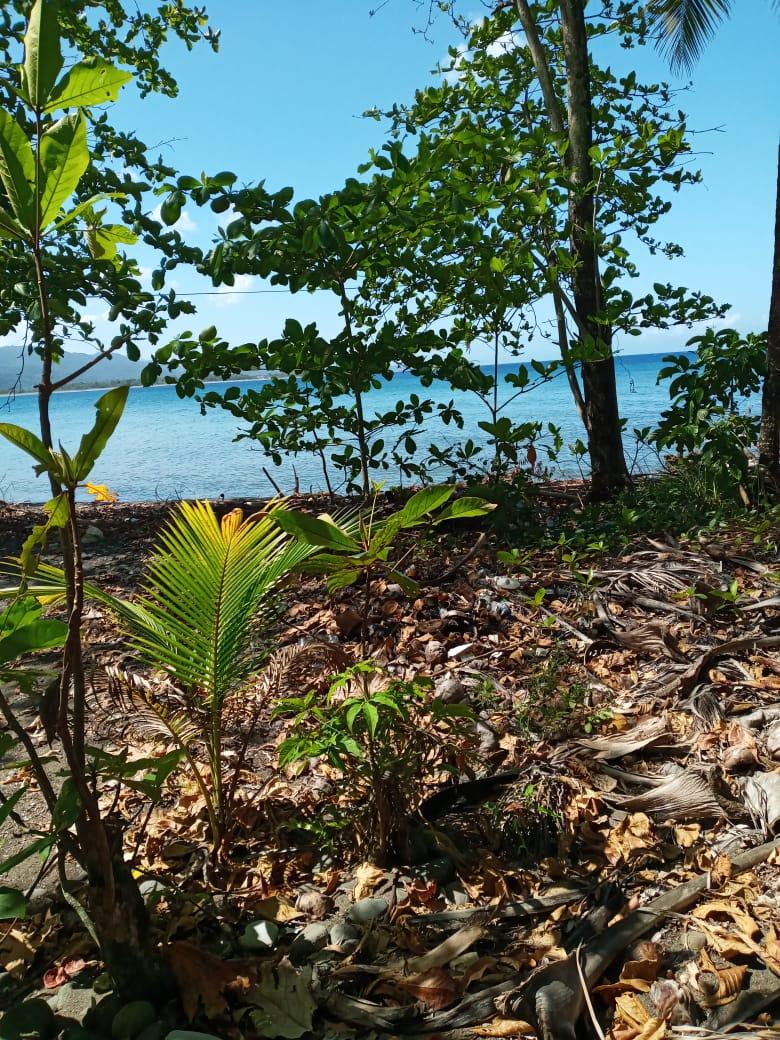 Homes for sale in Portland, Jamaica