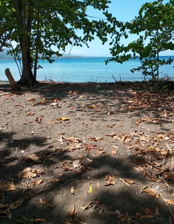 Homes for sale in Portland, Jamaica