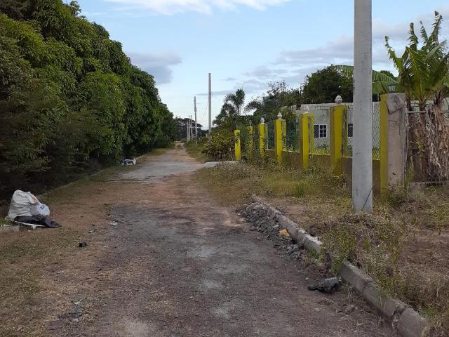 Homes For Sale In Longville Park Clarendon Jamaica