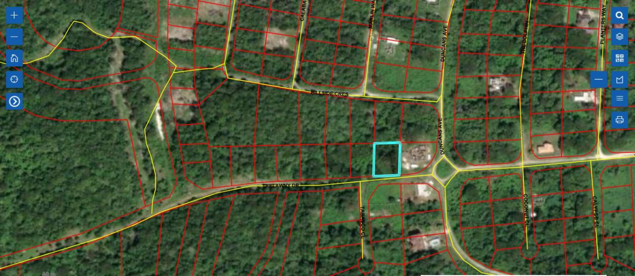 Homes for sale in Trelawny, Jamaica