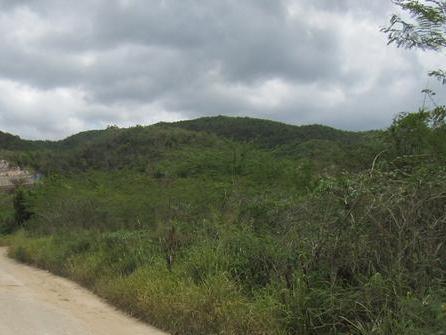 Land S For Sale In Forest Hills Plantation Height St Andrew Jamaica