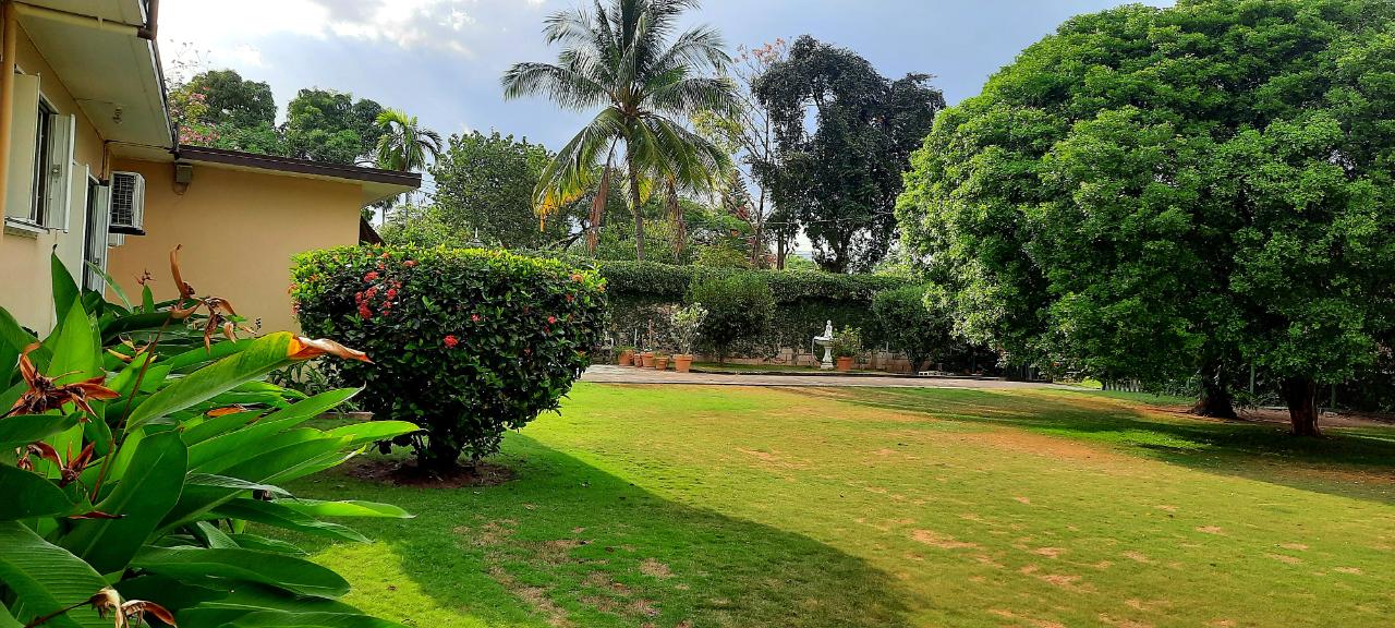 Home's for rent in Manley Meadows, Kingston, Jamaica