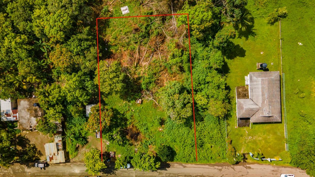 Homes for sale in St. Mary, Jamaica