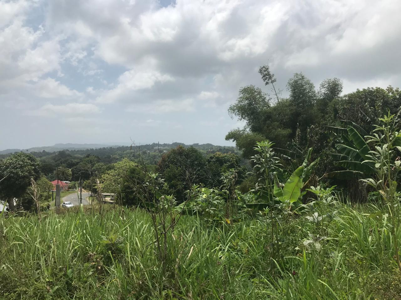 Homes for sale in St. Mary, Jamaica
