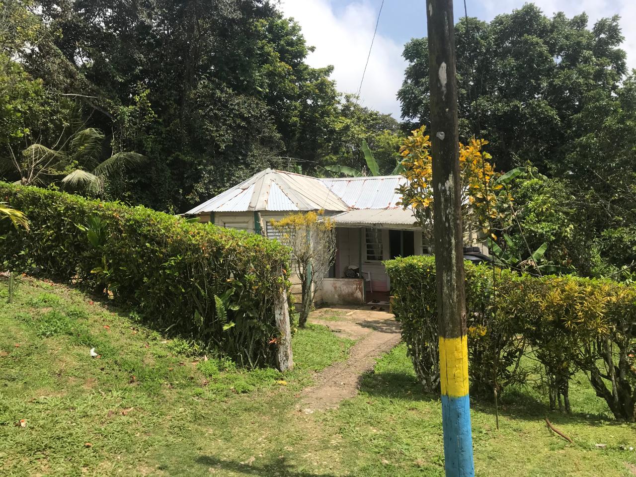 Homes for sale in St. Mary, Jamaica