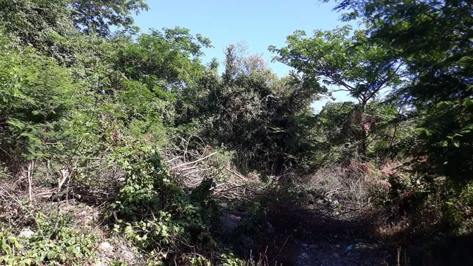 Homes for sale in St. Thomas, Jamaica