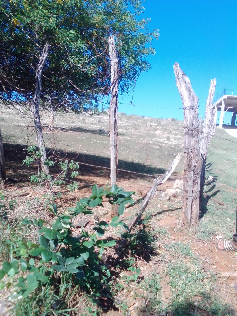 Homes for sale in St. Elizabeth, Jamaica