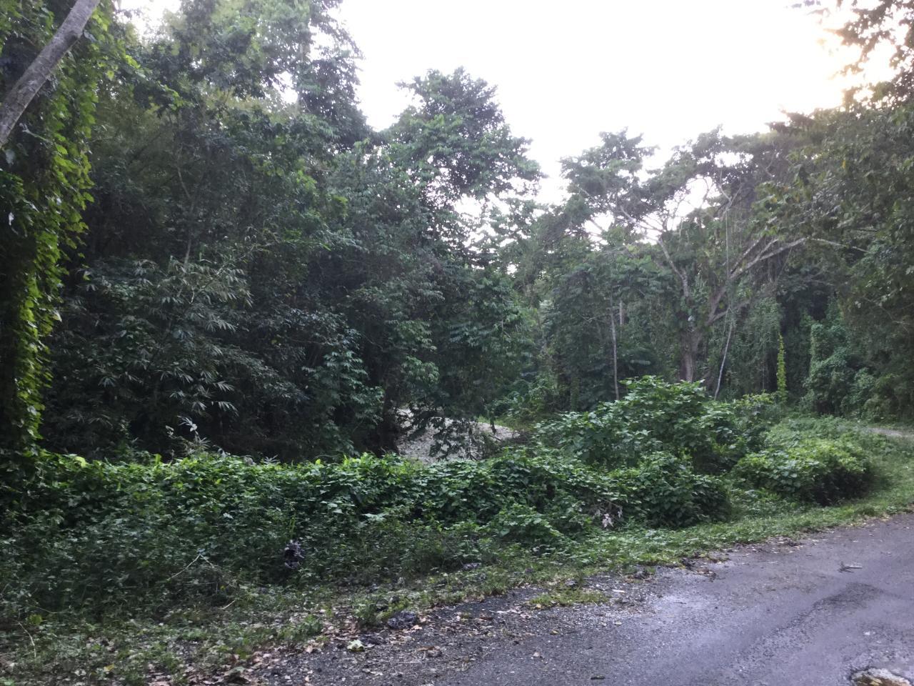 Homes for sale in St. Thomas, Jamaica