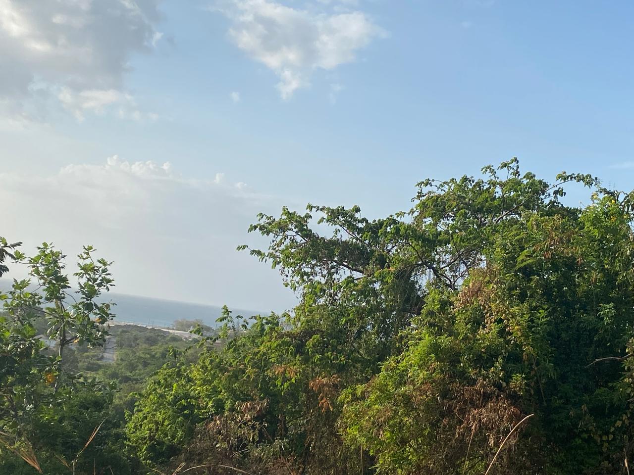 ALBION MOUNTAIN land for sale in St. Mary Middlesex Jamaica