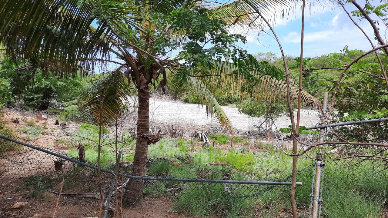 Homes for sale in St. Thomas, Jamaica