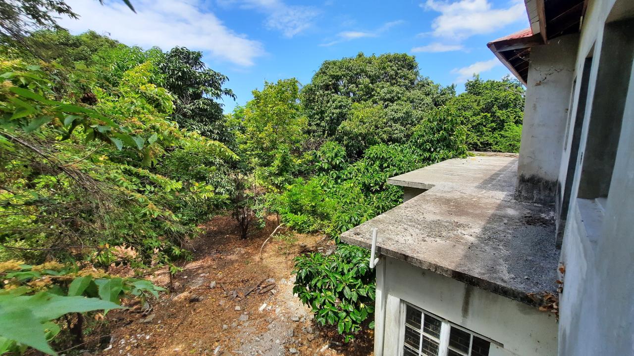 Homes for sale in St. Thomas, Jamaica