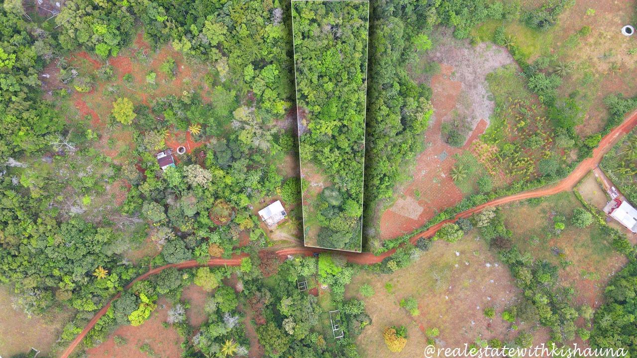 Homes for sale in Higgin Land, St Ann, Jamaica