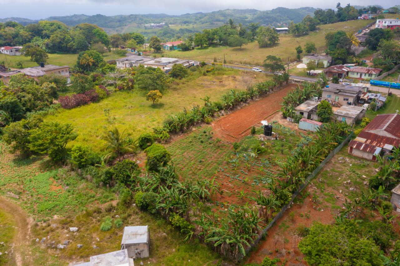 336, SILVER SANDS, DUNCANS BAY lot for sale in Trelawny Cornwall Jamaica