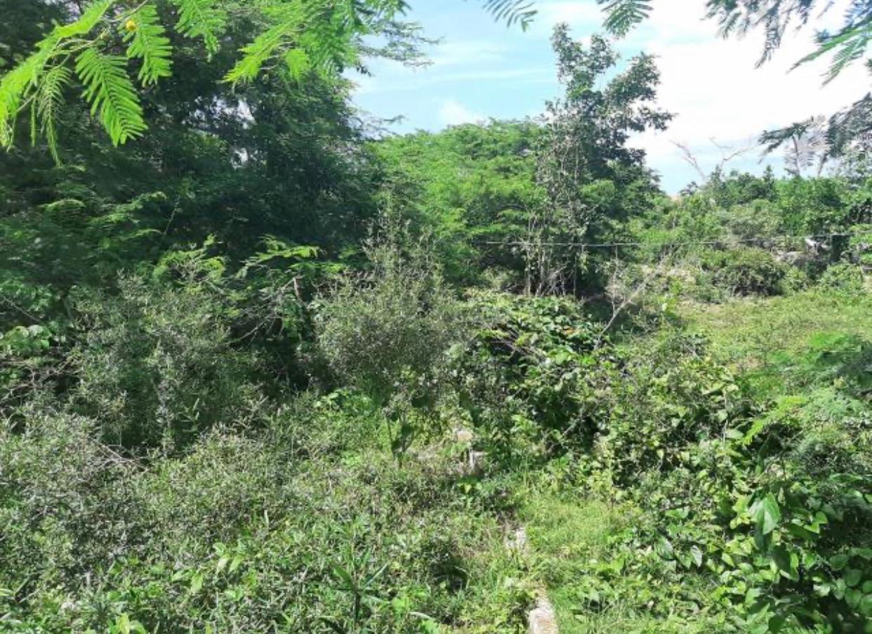 Homes for sale in St. Elizabeth, Jamaica