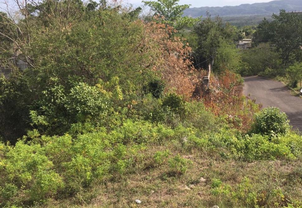 Homes for sale in St. Elizabeth, Jamaica