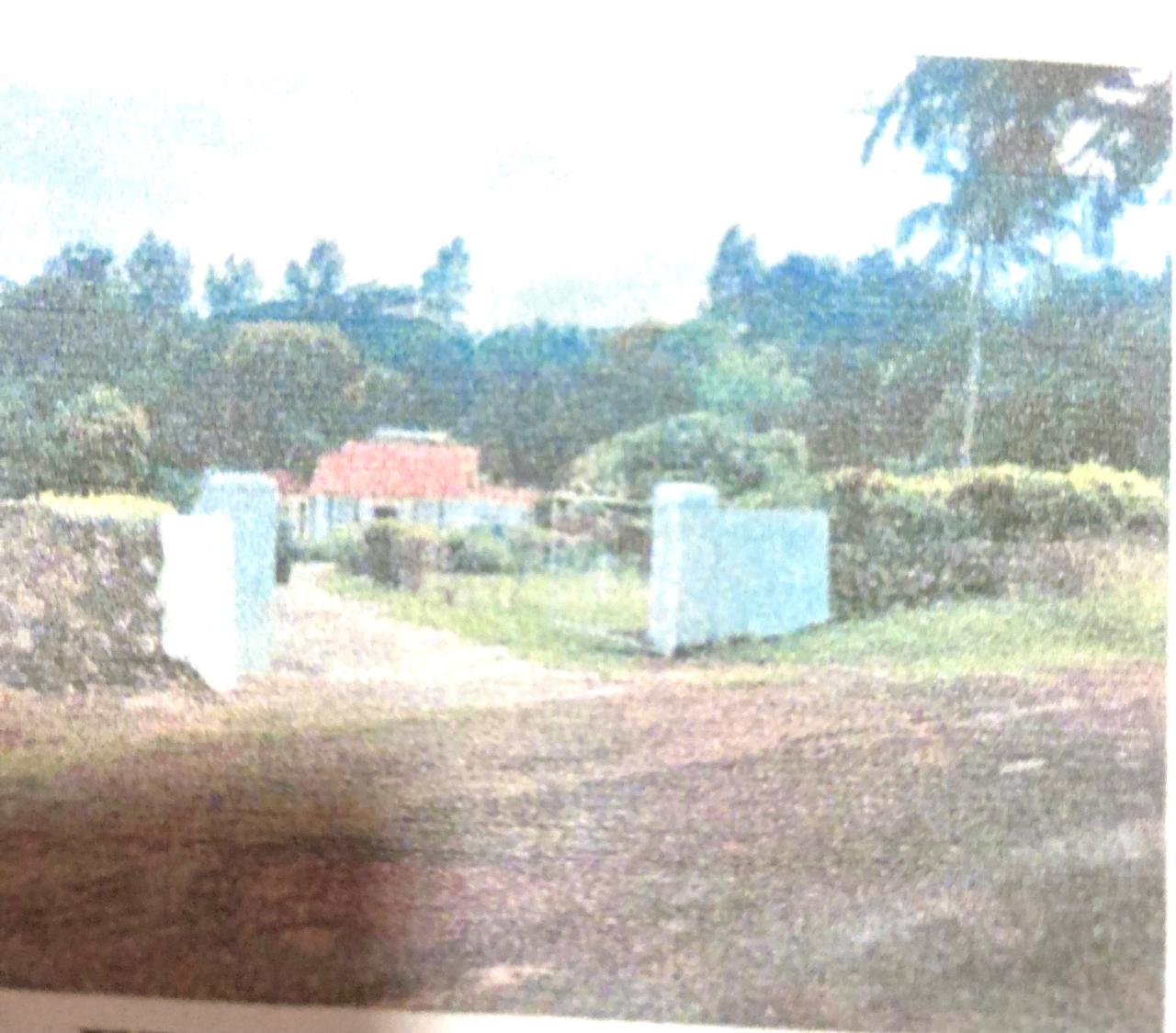 Homes for sale in St. Elizabeth, Jamaica