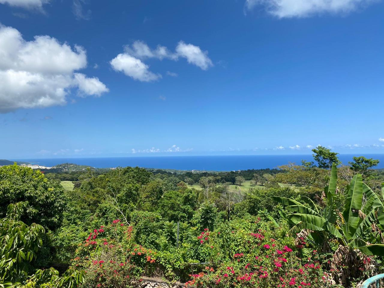 Homes for sale in Ocho Rios, St Ann, Jamaica
