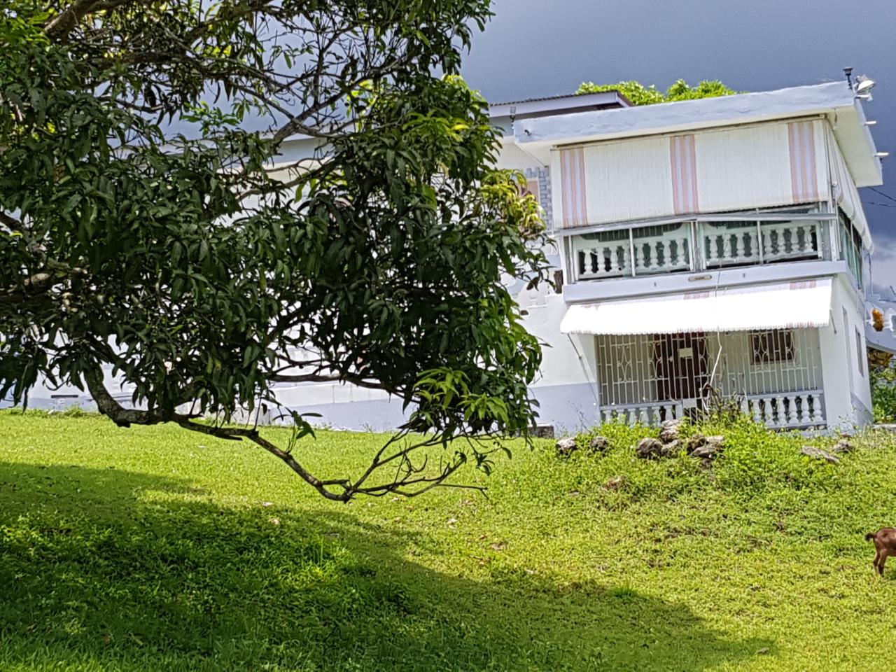 Homes for sale in Hanover, Jamaica