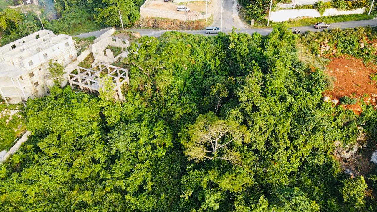 Homes for sale in Hanover, Jamaica